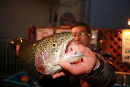 としまえんフィッシングエリア 釣果