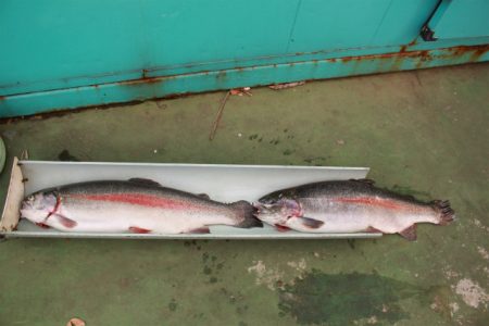 としまえんフィッシングエリア 釣果