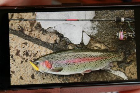 としまえんフィッシングエリア 釣果