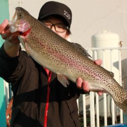 としまえんフィッシングエリア 釣果