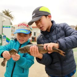 としまえんフィッシングエリア 釣果