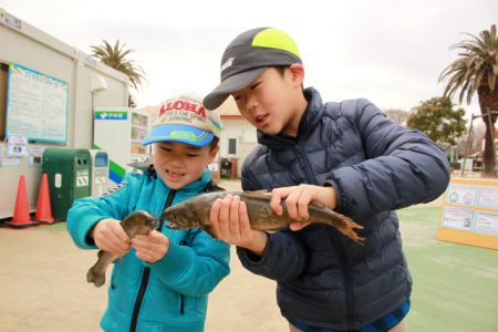 としまえんフィッシングエリア 釣果