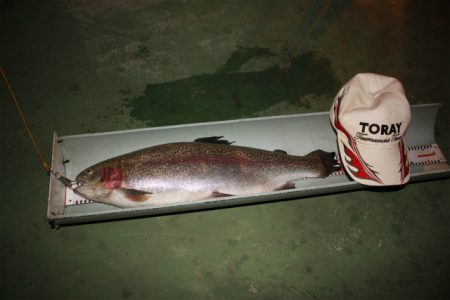 としまえんフィッシングエリア 釣果