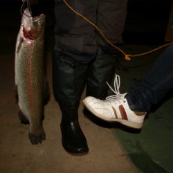 としまえんフィッシングエリア 釣果