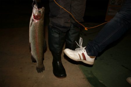 としまえんフィッシングエリア 釣果