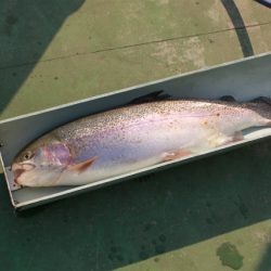 としまえんフィッシングエリア 釣果