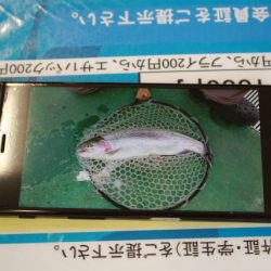 としまえんフィッシングエリア 釣果