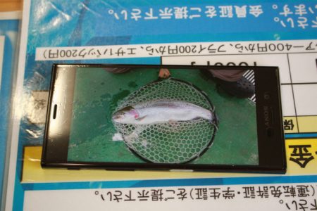 としまえんフィッシングエリア 釣果