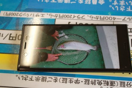 としまえんフィッシングエリア 釣果