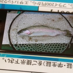としまえんフィッシングエリア 釣果