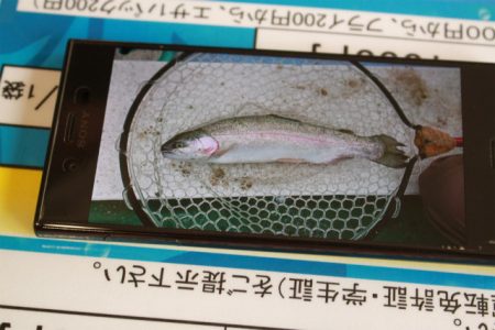 としまえんフィッシングエリア 釣果