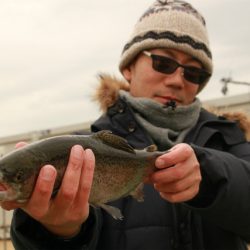 としまえんフィッシングエリア 釣果