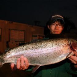 としまえんフィッシングエリア 釣果