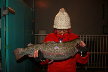 としまえんフィッシングエリア 釣果