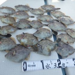 水天丸 釣果