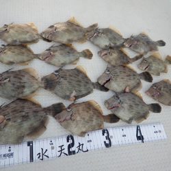 水天丸 釣果