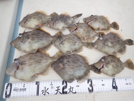 水天丸 釣果