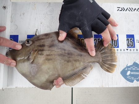 水天丸 釣果
