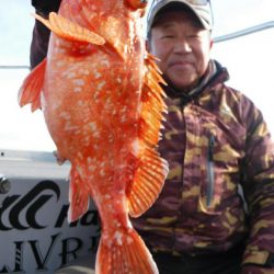 ブルースフィッシングサービス 釣果