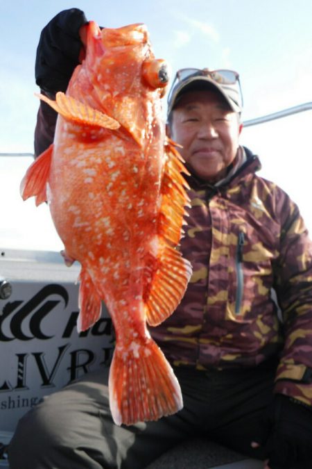 ブルースフィッシングサービス 釣果