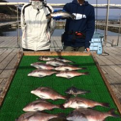 海の釣堀 海恵 釣果