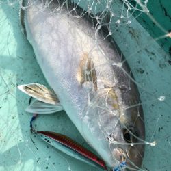 和栄丸 釣果