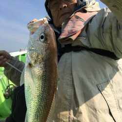 金沢八景鴨下丸 釣果