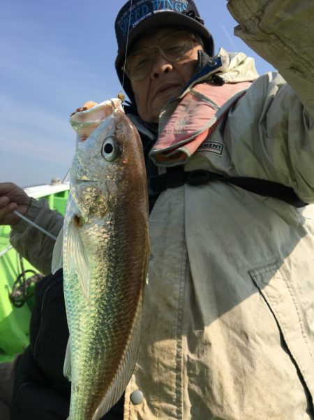 金沢八景鴨下丸 釣果