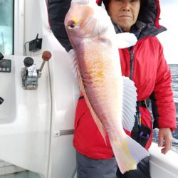 アマテラス 釣果