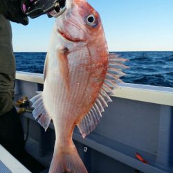 新幸丸 釣果
