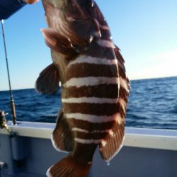 新幸丸 釣果