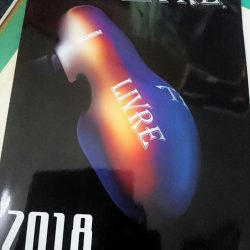 ブルースフィッシングサービス 釣果