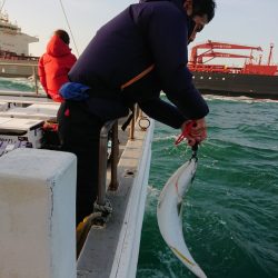 ありもと丸 釣果