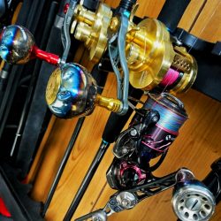 ブルースフィッシングサービス 釣果