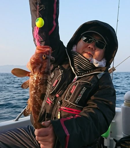 遊漁船 家入 釣果