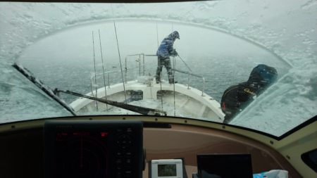 ARCADIAⅡ (アルカディアⅡ) 釣果