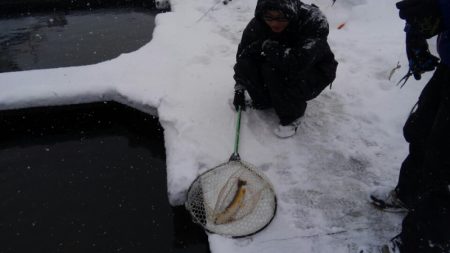 つりぼりあかし 釣果