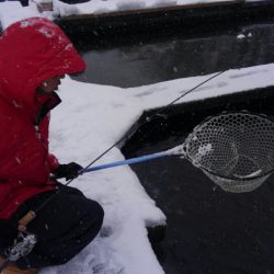 つりぼりあかし 釣果