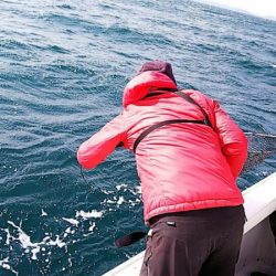 タイラバ遊漁船 ワンピース 釣果