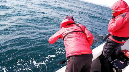 タイラバ遊漁船 ワンピース 釣果