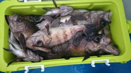 海龍丸（石川） 釣果