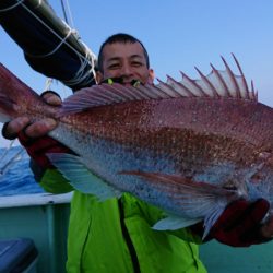 だて丸 釣果