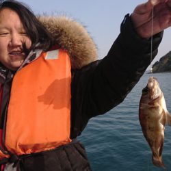 遊漁船　家入 釣果