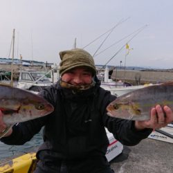 だて丸 釣果