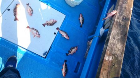 海龍丸（石川） 釣果