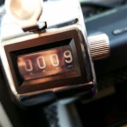 タイラバ遊漁船 ワンピース 釣果