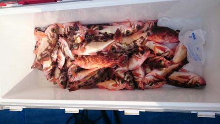 海龍丸（石川） 釣果