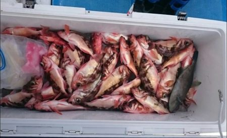 海龍丸（石川） 釣果