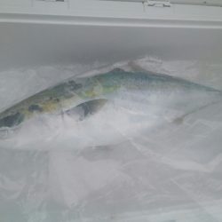 丸万釣船 釣果