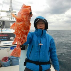 きずなまりん 釣果